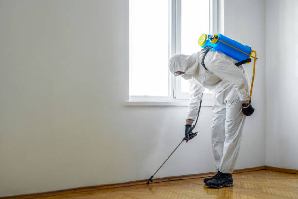 Best Local Pest Control Services  in Arcanum, OH