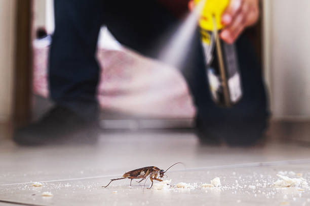 Best Pest Control for Homes  in Arcanum, OH